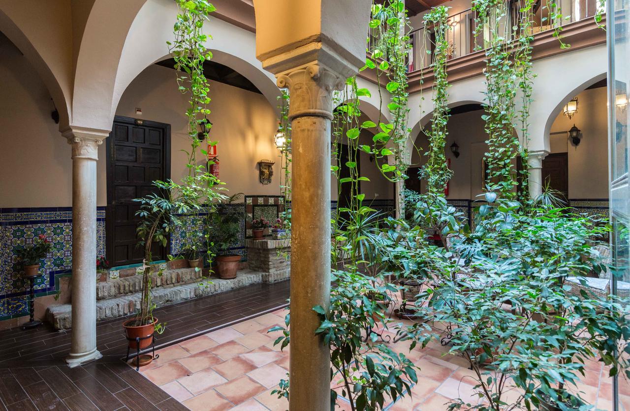 Standard Double Room,663861615:JPEG